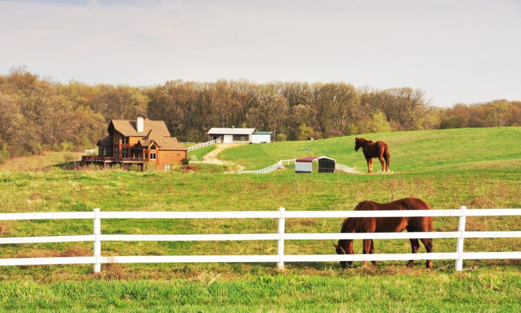 best dude ranches in South Dakota