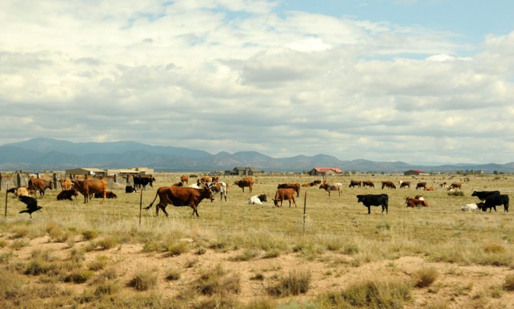 best dude ranches in South Dakota