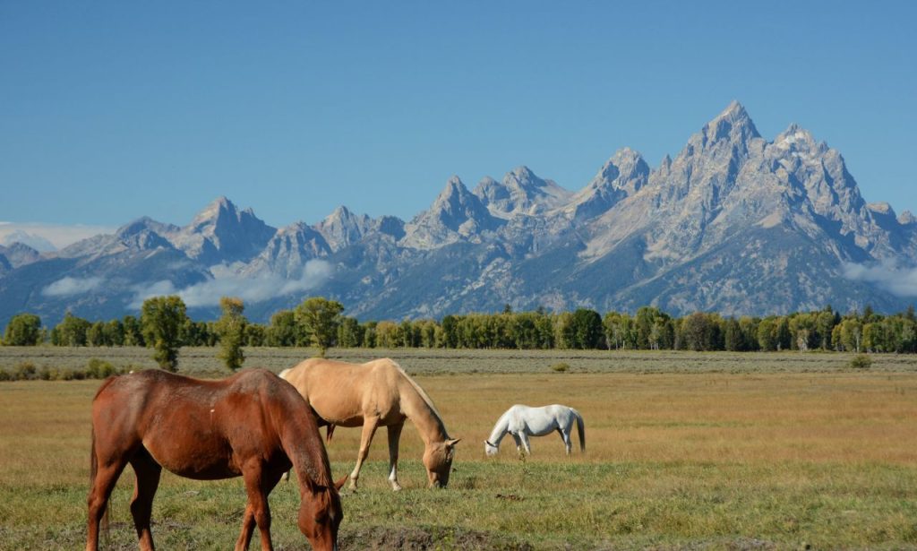 best dude ranches in South Dakota