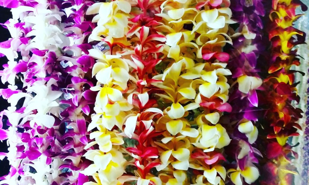 What Kind of Leis Do You Get for Wedding Guests?