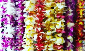 What Kind of Leis Do You Get for Wedding Guests?