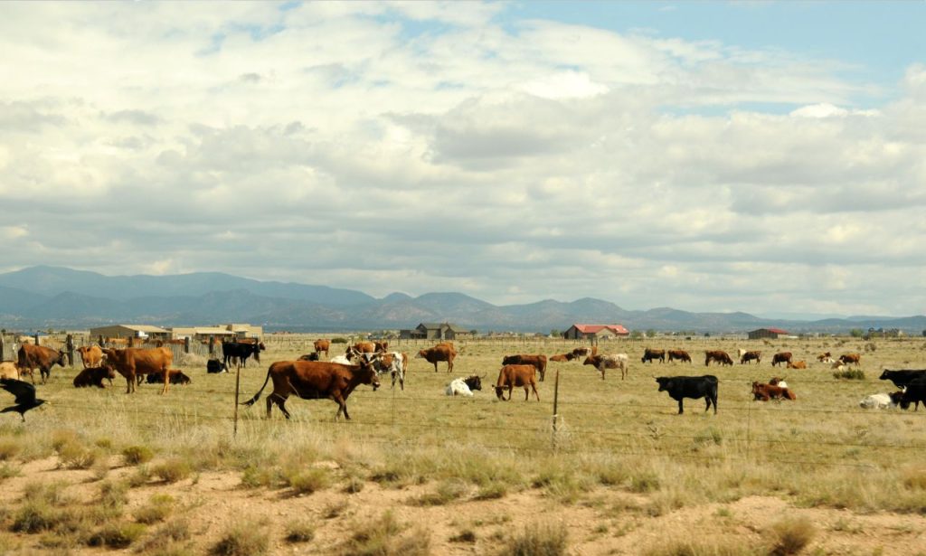 best dude ranches in South Dakota