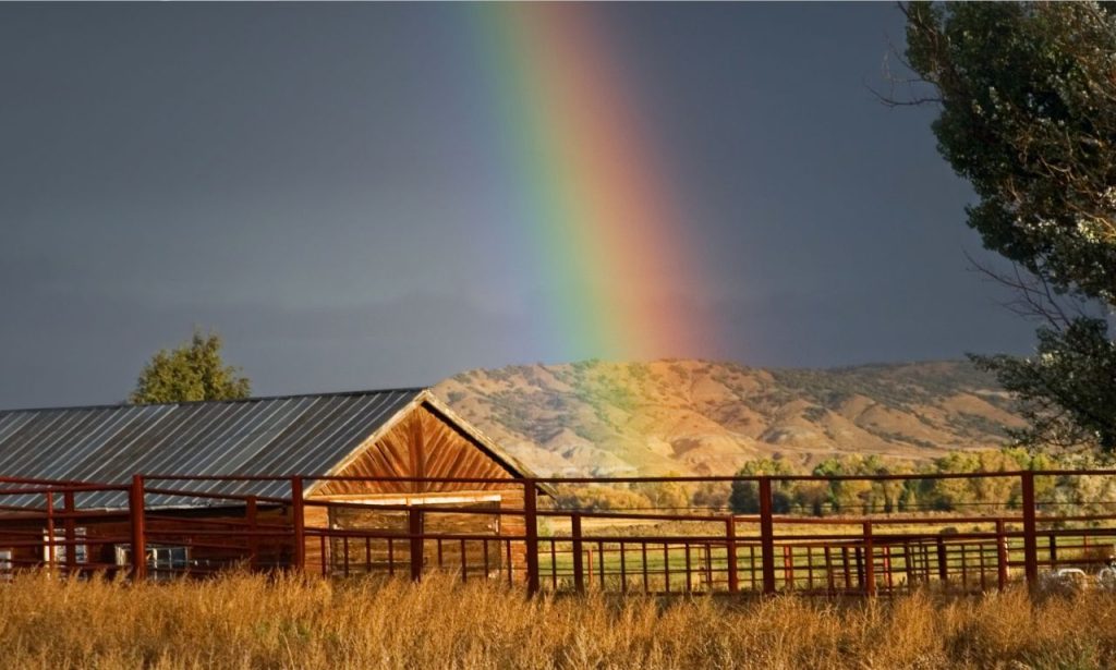 best dude ranches in South Dakota